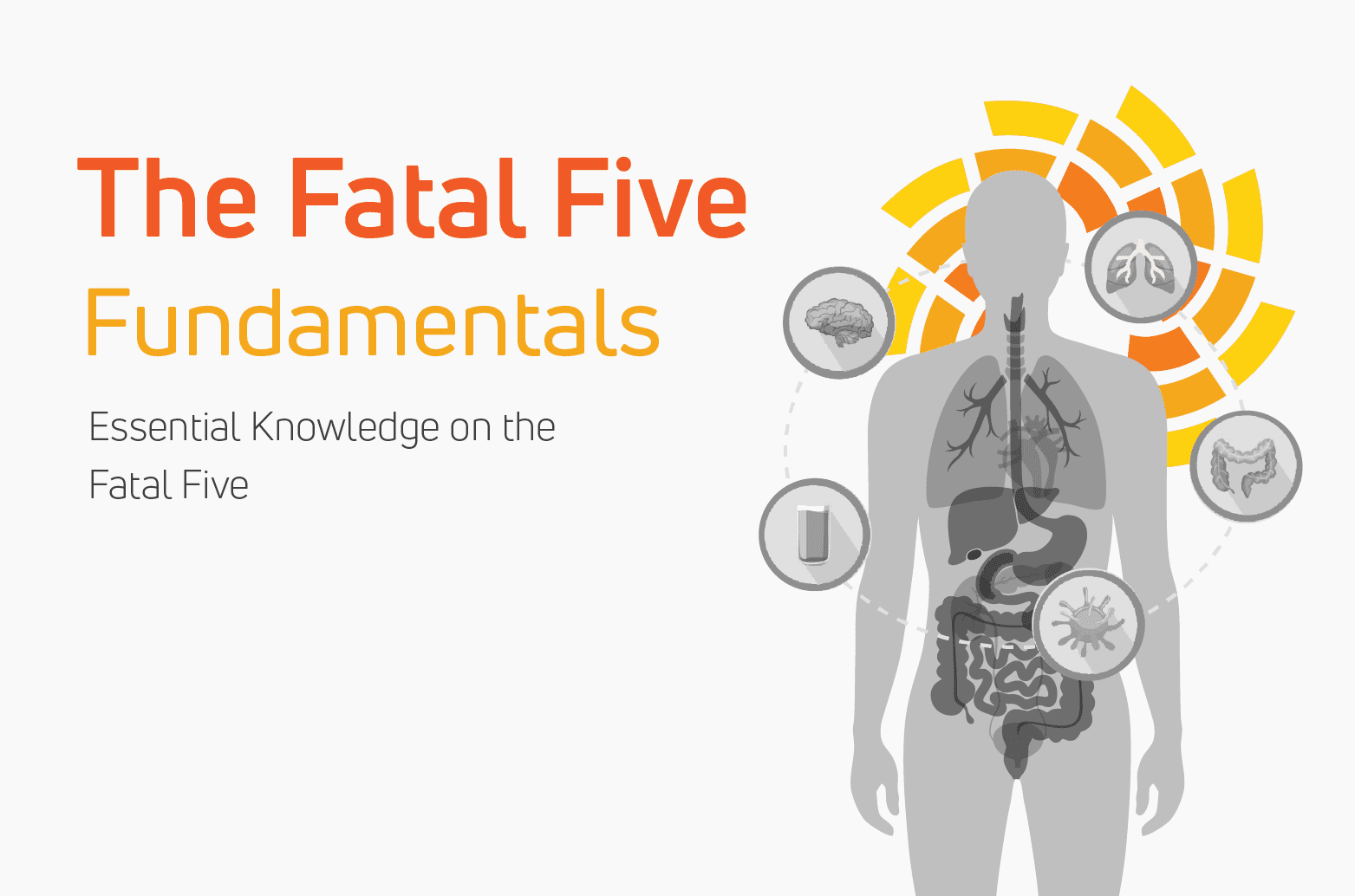 Fatal Five Fundamentals eLearn Course by IntellectAbility